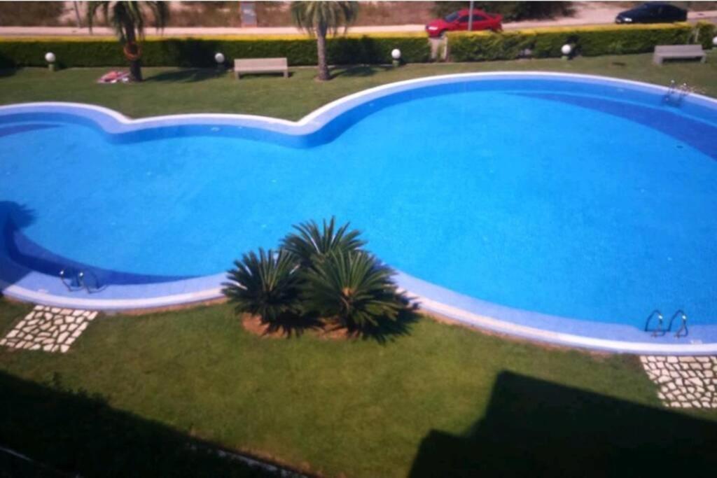 Paradise - Oliva Nova Playa Met&Golf Ngoại thất bức ảnh